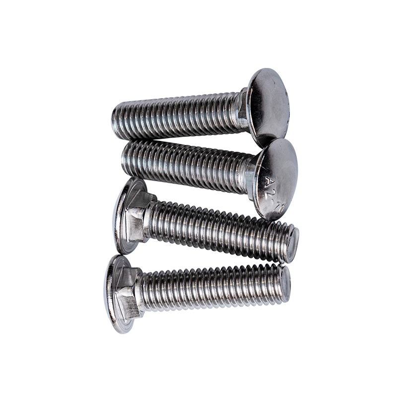 SS304 GB12-76 M12 Cup Hode Firkantet Hals Bolter